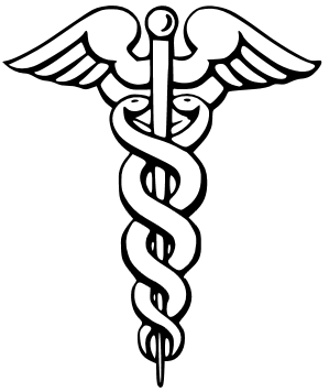 Modern depiction of the caduceus as the symbol of logistics